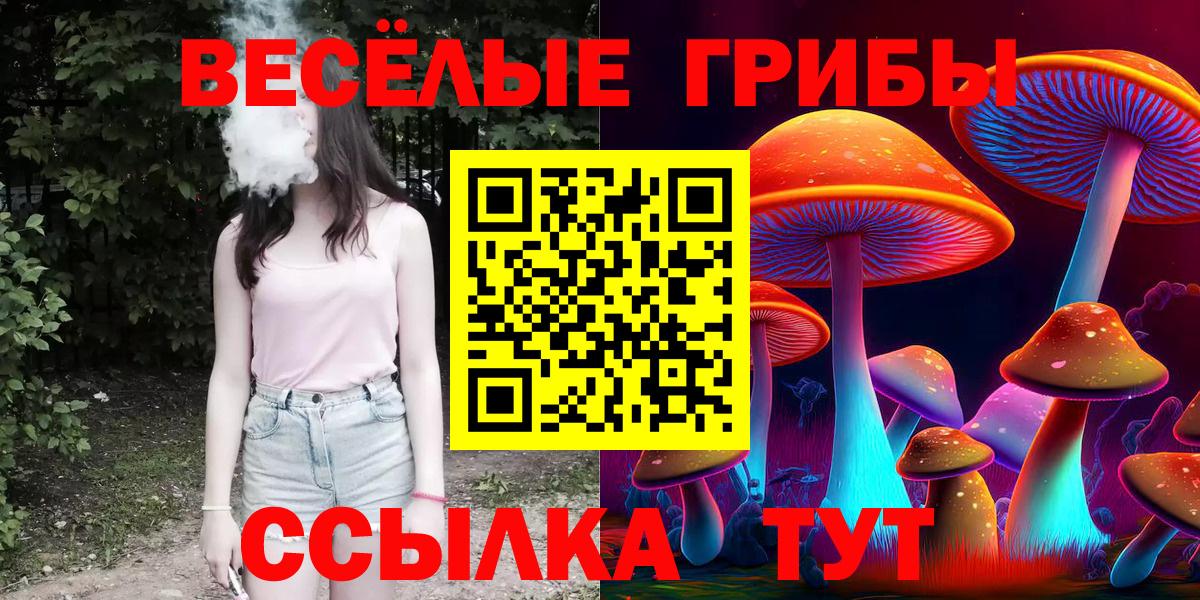 Зеленогорск  Псилоцибиновые грибы Cubensis  Вход с VPN  Псилоцибиновые грибы прущие грибы 