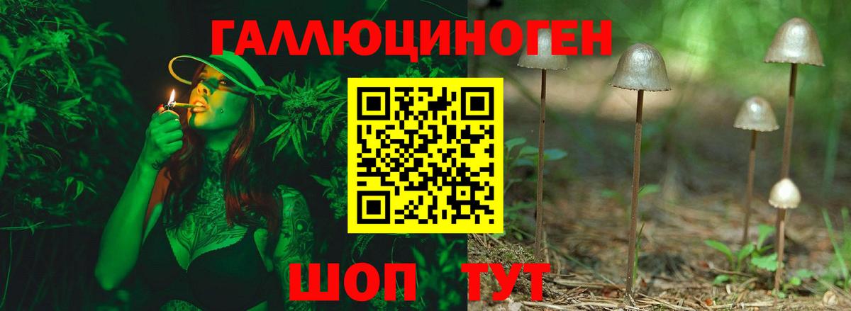 Псилоцибиновые грибы прущие грибы Зеленогорск