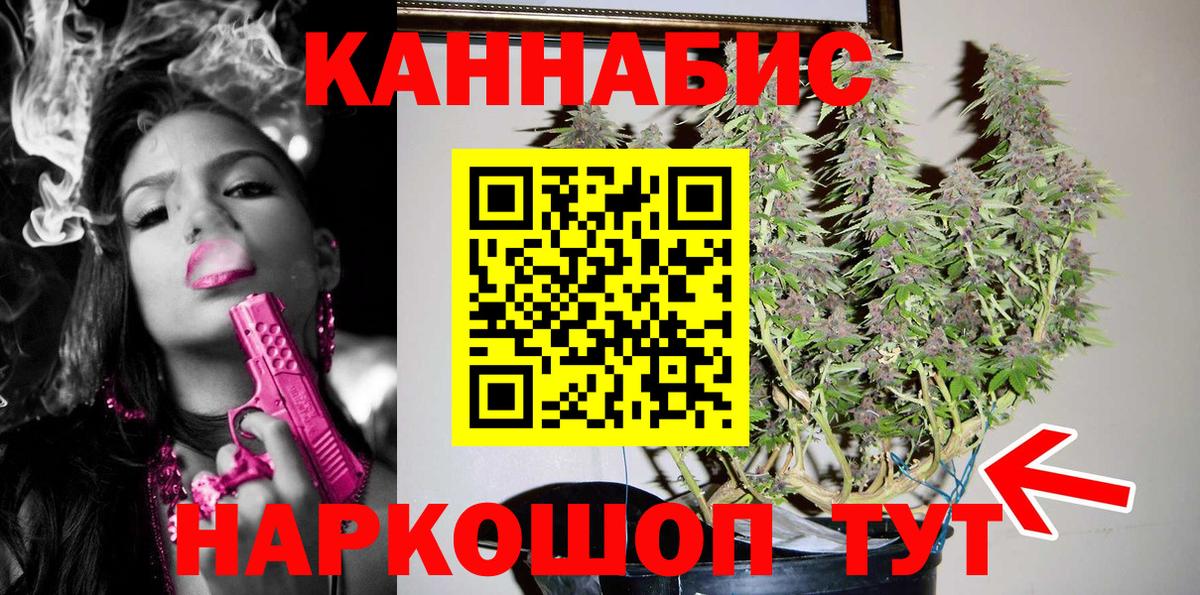 Конопля Amnesia  Вход с VPN  Бошки Шишки ГИДРОПОН  Зеленогорск 